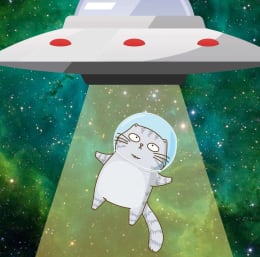 Kittens In Space