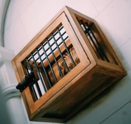 Le Trésor D'alienor [Eleanor's Treasure]