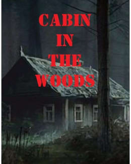 Cabin In The Woods
