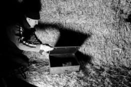 De Vloek Van Hof Te Langelo [The Curse Of Court At Langelo]