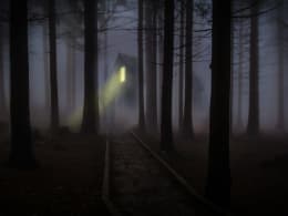 Das Alte Haus im Wald [The Old House In The Forest]