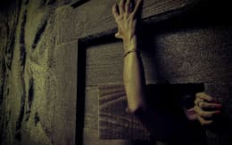 La Cabane Dans Les Bois