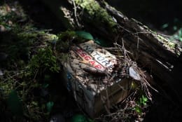 Maan Väen Vankina [Prisoners of the Forest] [Outdoor]