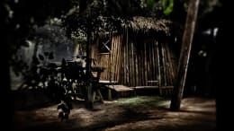 The Dark Forest