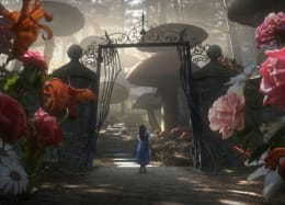 Alice’s Dream