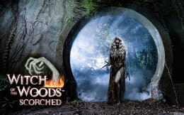 Witch of the Woods™: Scorched