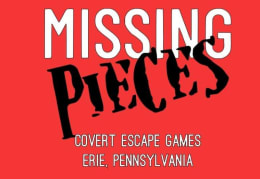 Missing Person Pieces