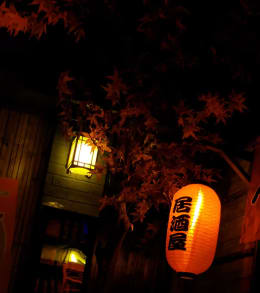 Le Collectionneur de Kyoto [The Collector of Kyoto]