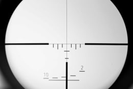 Cautela: El Camaleón [Caution: The Chameleon]