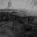 Triplicate Institute