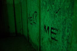 Asylum for the Criminally Insane