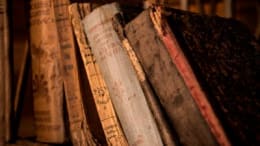 La Légende De La Sorcière [The Legend Of The Witch]