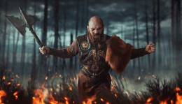 The Viking Longhouse