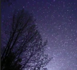 Nighttime Wagon Rides And Flashlight Corn Maze