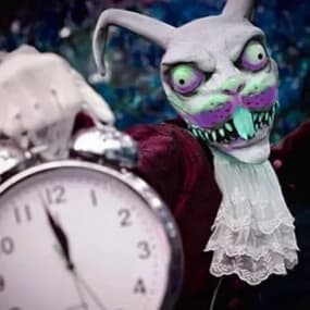 Down the Rabbit Hole After Dark