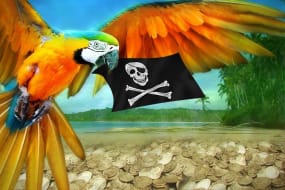 Piraatin Papukaija [The Pirate’s Parrot]