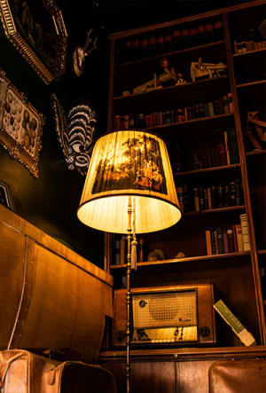 store/s/03be8302-e281-4b14-8fbd-d39433eb798b.jpg