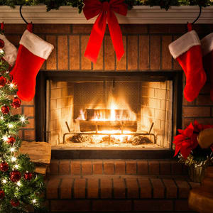 store/s/0550f555-e2ef-465d-95a4-25cce680d067.png