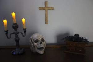 store/s/1bf6f5c2beace153fae8ed12c5d18d73.jpg
