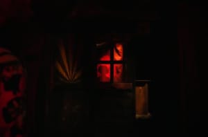 store/s/20dfccbe-3a86-4b0b-9b3a-115bdf5d5a53.jpg