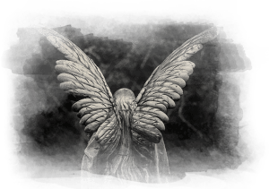 store/s/2d541f7a-eeb9-4516-aac8-f2a6772974cf.png