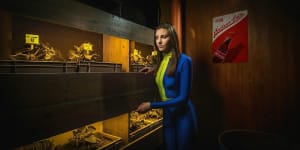 store/s/526929a7-60f7-4211-9860-5b66ae63fa78.jpg