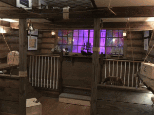 store/s/54237321-810b-48d8-9d32-2c9bf54da9cf.gif