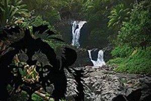 store/s/7098679a42efdb0b2e4286a449a4c965.jpg