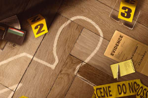 store/s/946ae432-b0f2-4d3a-b44d-9932307c9b89.png