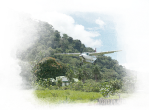 store/s/a2cddb46-f23d-4cf3-800a-d7fd29799020.png