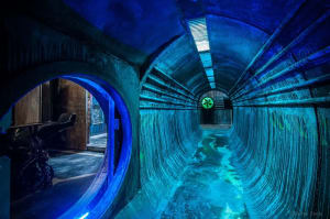 store/s/c077c05a-9bb9-4363-a1e9-b6797b42af59.webp