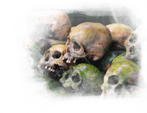 store/s/c8629348-f1bb-4b9f-a793-c36b1501dd4c.png