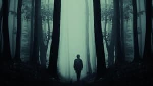 store/s/d0356301-8fd1-4a1d-a0e2-ba0af789ae33.png