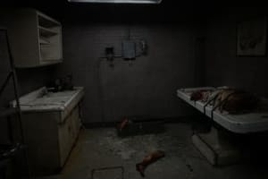 store/s/d0395372-3b9a-4136-bbb8-bd2488ceb167.jpg
