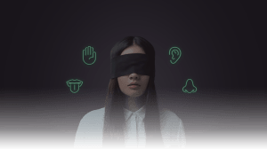 store/s/d2bbd6c1-1641-4f72-8840-3f71594857e6.png