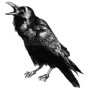 store/s/d9987cfd-c9ea-4975-87f4-b73355a3c53e.png