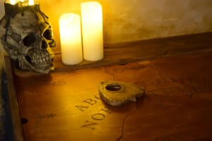store/s/e44c86f2-022f-40d5-a3ac-f0d4e7be050c.JPG