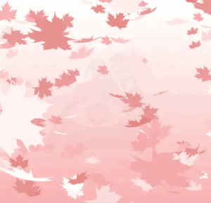 store/s/e4db925a-0346-4c18-8ef8-1818c1810ee1.webp
