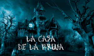store/s/fecfb4ac-d15f-4979-9293-45ed26858d34.png