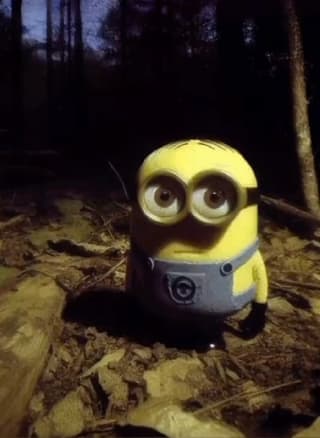 @yaayaawee