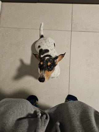 @0d19c8a29e4d4e808d6f7513aaba1c