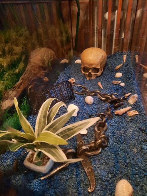 Escape Room Winterberg