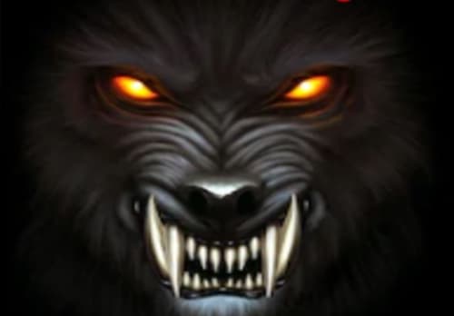 Enchanted Escape Room