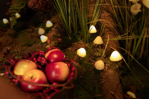 Escape Experience BV