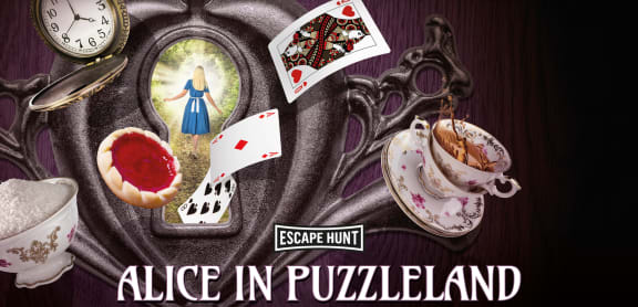 Alice In Puzzleland