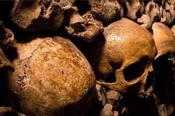 Rescue From Voodoo Island