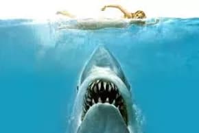 The Jaws Experience