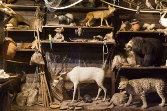 The Trophy Room