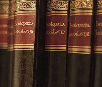 L'etude Secrete De Mr Fox [Library]