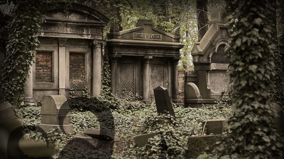 La Semilla De La Locura